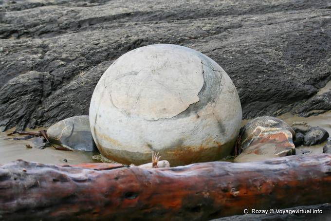 Palla e legni Moeraki Boulders Scenic Reserve, Otago - Nuova Zelanda