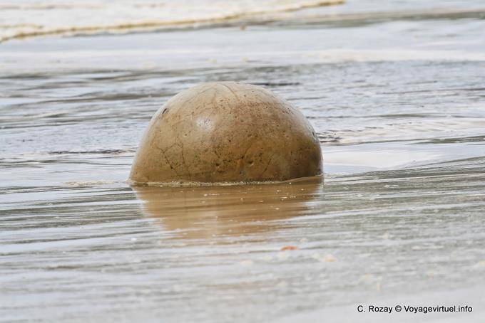 Sferica Island, Moeraki Boulders Scenic Reserve, Otago - Nuova Zelanda