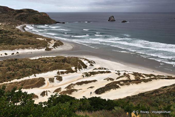 Otago Peninsula Dunedin Sandfly Bay - Nuova Zelanda