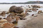 Palle di coppia, Moeraki Boulders Scenic Reserve, Otago, Nuova Zelanda.