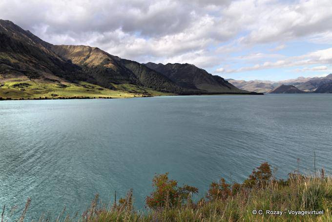 Il collo, Lago Hawea, Southland - Nuova Zelanda