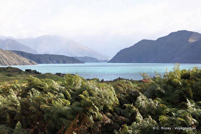 Colori sul lago, Lago Wanaka, Southland - Nuova Zelanda
