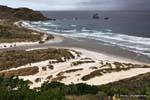 Otago Peninsula Dunedin Sandfly Bay, Nuova Zelanda.