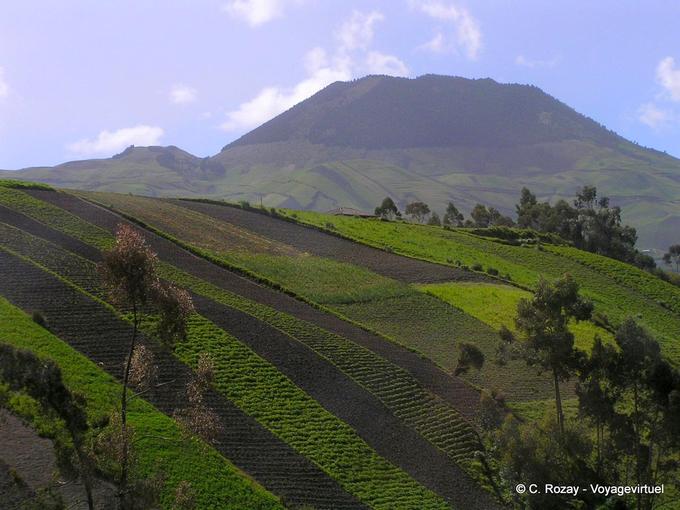 On the Quito's road, région volcanique vers Ambato, Equador
