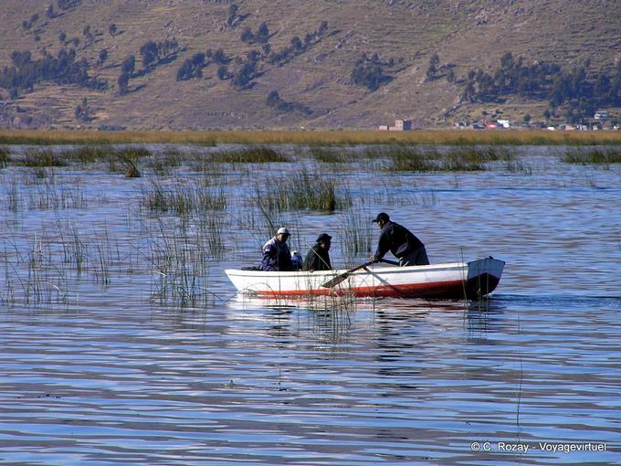 Tra le canne fuori Puno, Lago Titicaca -Perù
