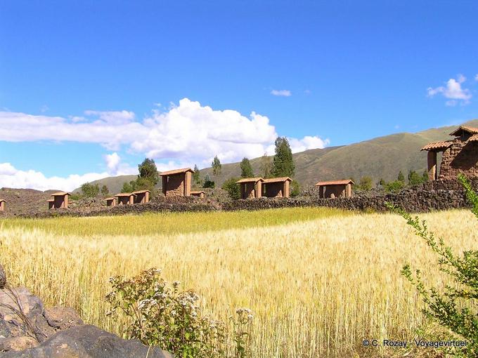 Raq'chi Wiracocha tempio e quinoa -Perù