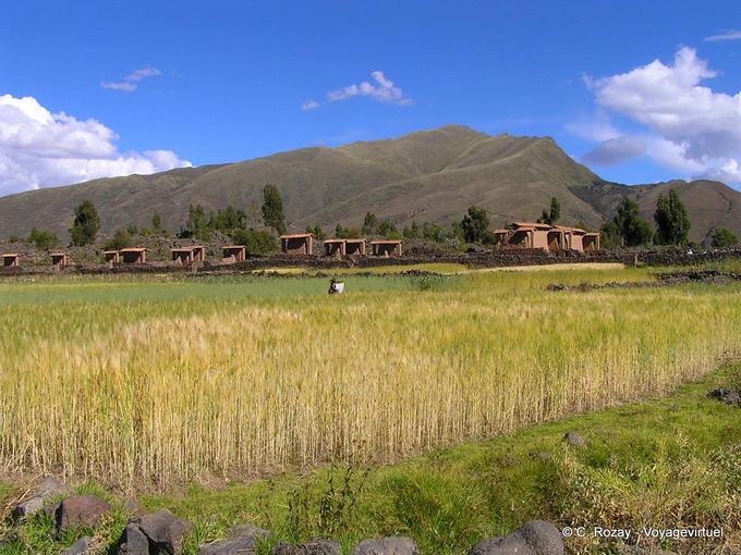 Panorama Raq'chi -Perù