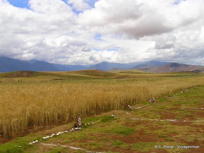Agricoltura codificato, Moray -Perù