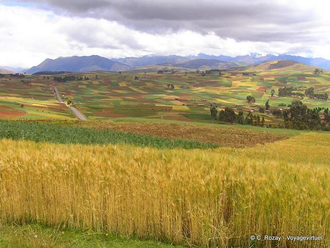 Colore mosaico realizzato da campi coltivati ​​a Chinchero -Perù