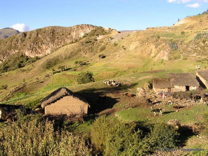 Farm zona di montagna ha perso di Uripa -Perù