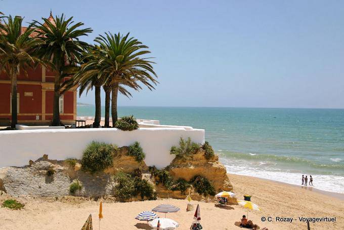 Albufeira, le palme in riva al mare - Portogallo