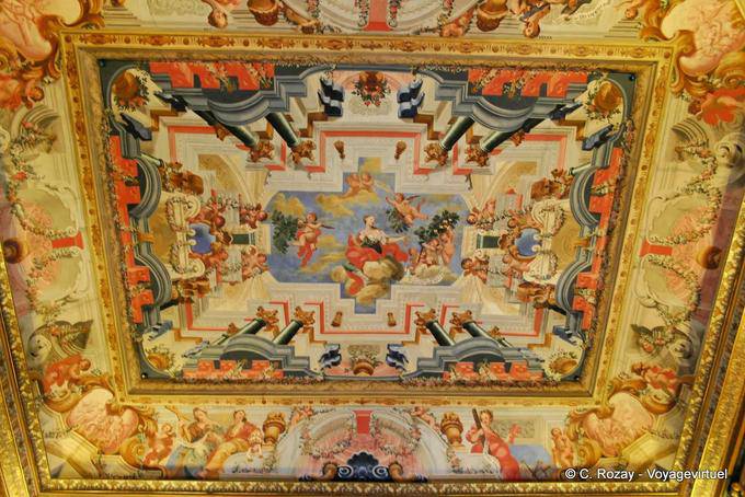 Il soffitto della Biblioteca Joanina, Coimbra - Portogallo