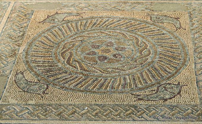 Delfini in periferia, Conimbriga mosaico - Portogallo