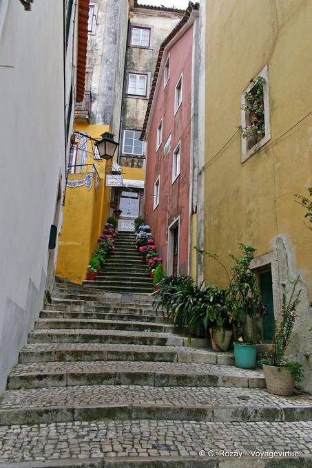 Vicolo fiorito Escadinhas Félix Nunes, Sintra - Portogallo