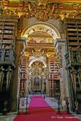 Tappeto rosso nella suite della Biblioteca Joanina, Coimbra, Portogallo.