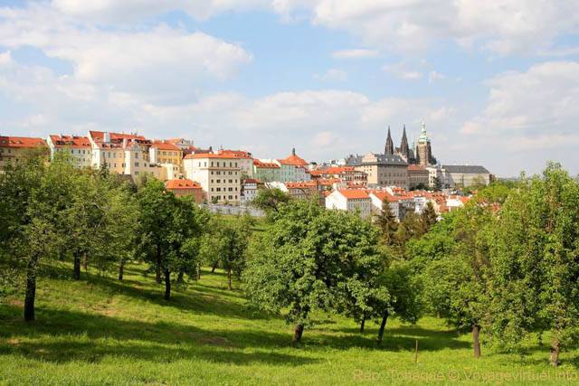 Malá Strana, les arbres de la Colline de Petrin - Praga, Repubblica Ceca