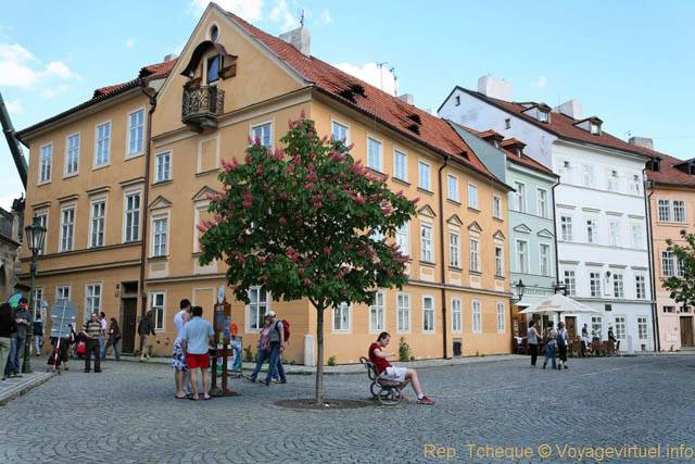 L'arbre en fleurs sur la place, Na Kampe, Malá Strana - Praga, Repubblica Ceca
