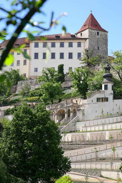 Valdstenjska, cultures en espaliers - Praga, Repubblica Ceca