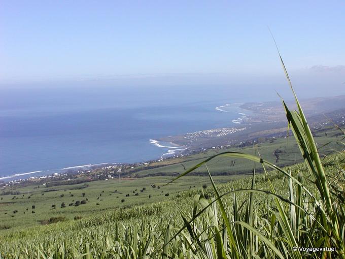 Panorama della costa dei campi di canna da zucchero - Riunione