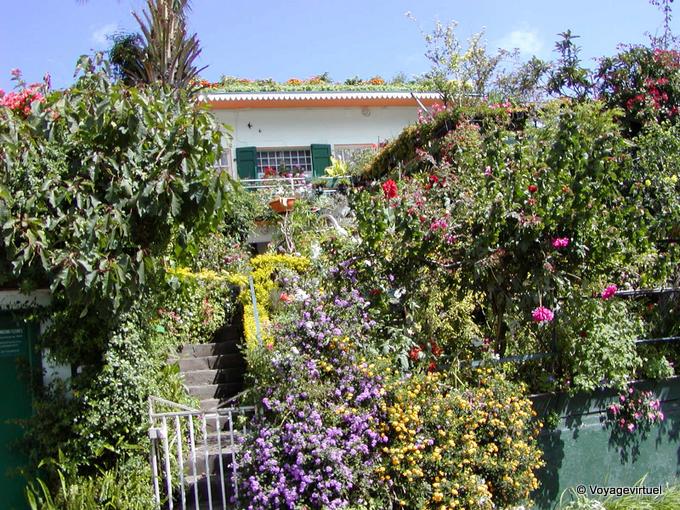 Tetto fioriti, Cilaos - Riunione