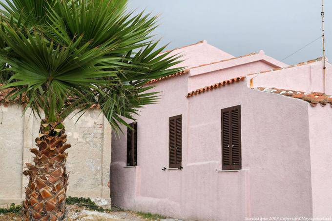 Golfo Aranci, Pink House e palme - Sardegna