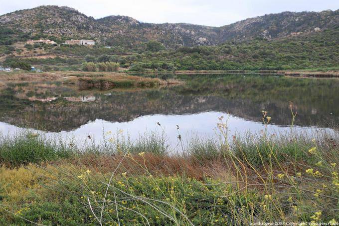 Palau, lo stagno Saline - Sardegna
