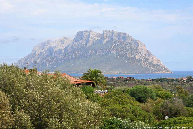 Porto San Paolo, vista Isola Tavolara sulla campagna - Sardegna