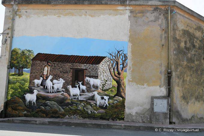 Romana, le pecore, le capre e un pastore - Sardegna