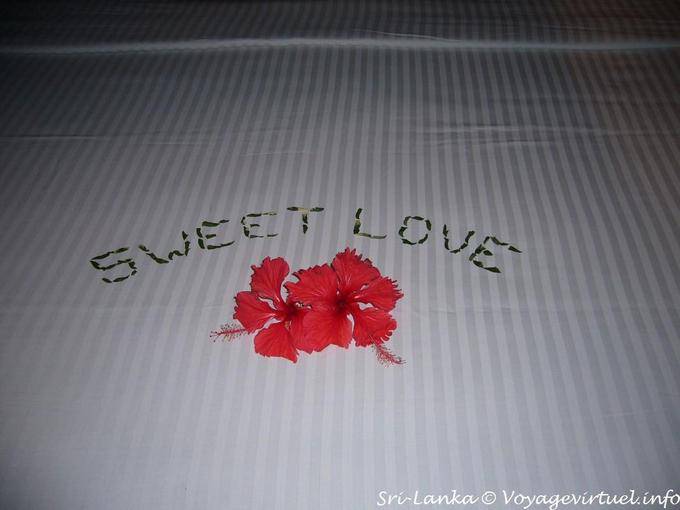 Dolce love hotel Eden Spa Beruwela - Ceylon Sri Lanka