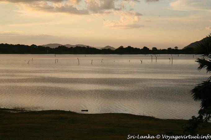 Dambulla, scherzo del vento sul lago Kandalama - Ceylon Sri Lanka