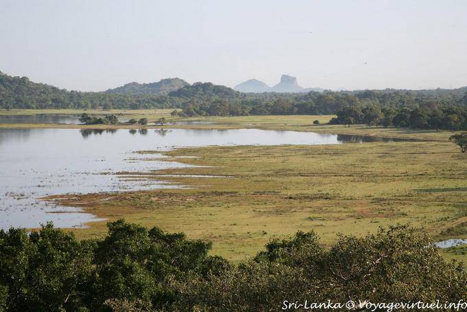 Paesaggio intorno al Heritance Kandalama, Dambulla - Ceylon Sri Lanka