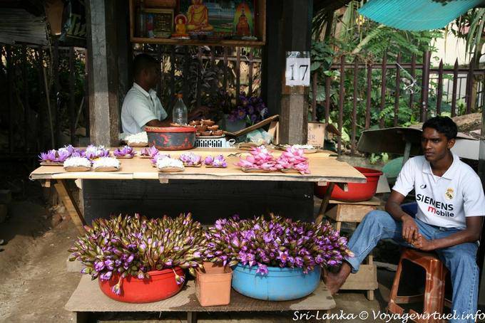 Piccola stalla di un mercante di fiori, Kandy - Ceylon Sri Lanka