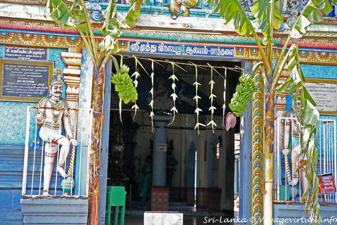 Ingresso alle banane, Hindu Temple Matale - Ceylon Sri Lanka