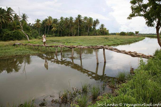 Attraversando un fragile ponte di legno pedonale, via Batukotuwa - Ceylon Sri Lanka