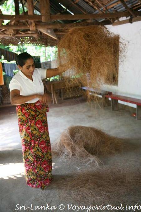 La fibra di cocco o buccia è usato per fare spazzole, stuoie ... Nalanda - Ceylon Sri Lanka