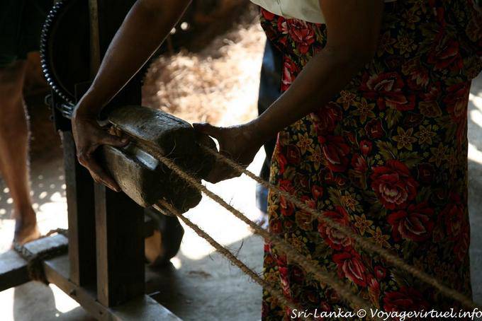 Fibre del ripieno di cocco utilizzati per fare corde, Nalanda - Ceylon Sri Lanka