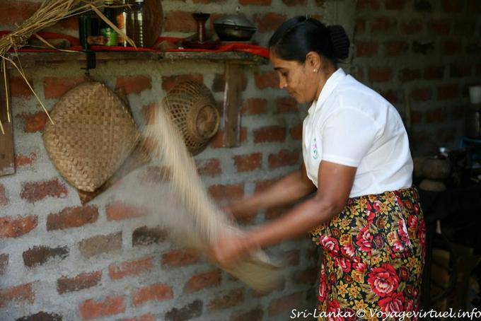 Specialista gesto molteplici usi di cocco, Nalanda - Ceylon Sri Lanka