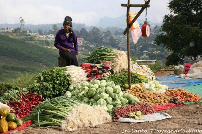 Bancarella di verdure fresche sul lato della strada, Nuwara Eliya - Ceylon Sri Lanka