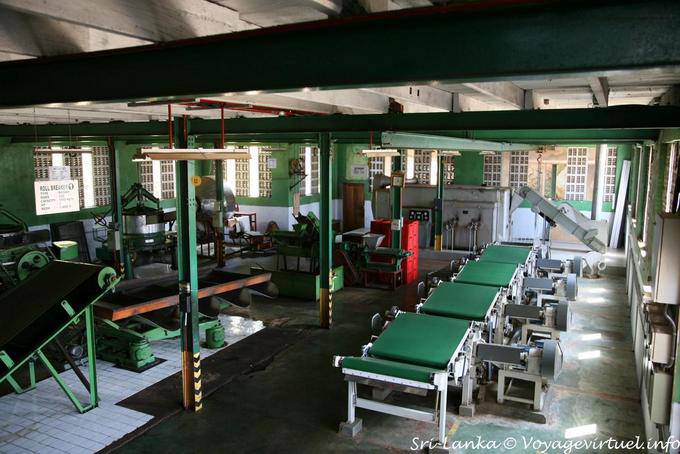 Ordinamento pausa sala da tè, Glenloch Tea Factory, PBC autostrada - Ceylon Sri Lanka