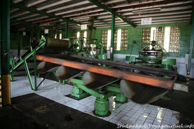 Macchine in uno dei laboratori della Glenloch Tea Factory, Nuwara Eliya - Ceylon Sri Lanka