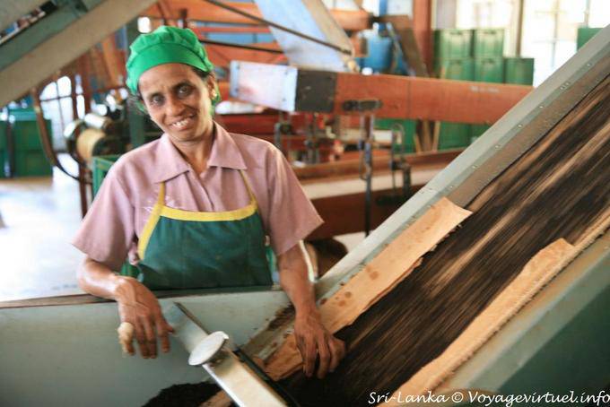 Lavoratori scatole tè, Glenloch tè fabbrica, Nuwara Eliya - Ceylon Sri Lanka