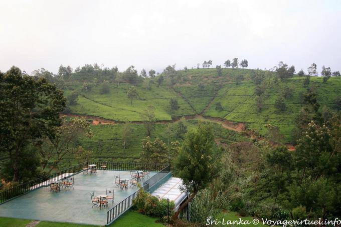 Terrazza nel mezzo di piantagioni di tè paesaggio, Tea Factory, Nuwara Eliya - Ceylon Sri Lanka