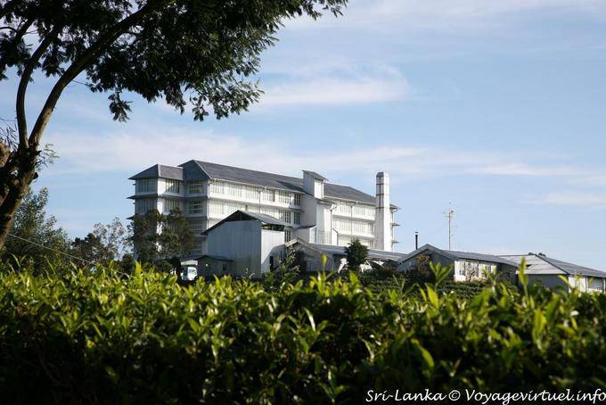 Hotel Panoramic, un ex britannico produce, Tea Factory, Nuwara Eliya - Ceylon Sri Lanka