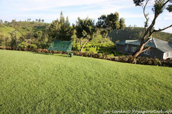 Panchina e erba Heritance Tea Factory, Kandapola, Nuwara Eliya - Ceylon Sri Lanka