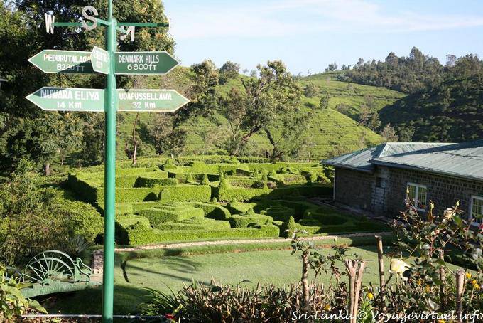 Topiary nel giardino del Tea Factory Hotel, Nuwara Eliya - Ceylon Sri Lanka