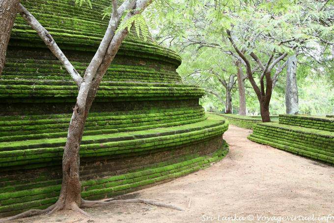 Nucleo di schiuma pieno di una grande stupa, Alahana Pririvena, Polonnaruwa - Ceylon Sri Lanka