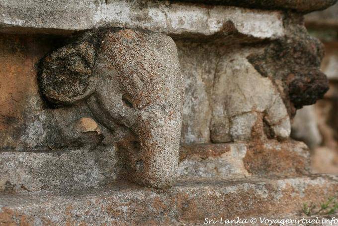 Elefante scolpito, Kalu Gal Vihara, Polonnaruwa - Ceylon Sri Lanka