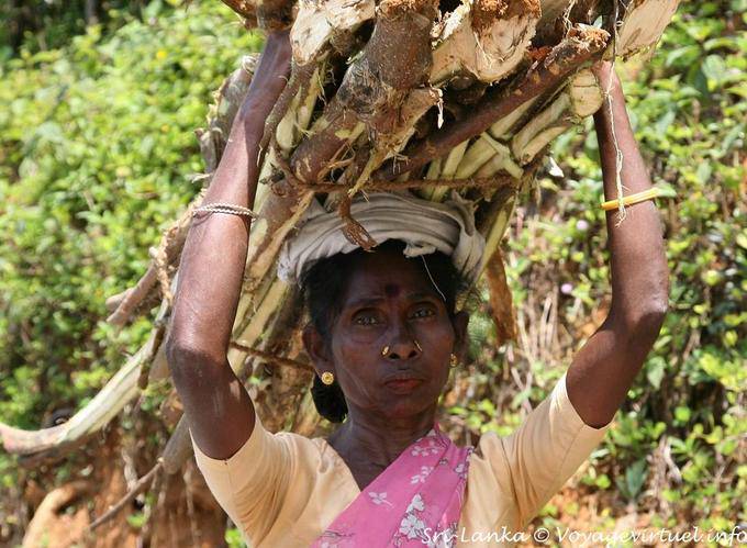 Porta sulla testa e degli occhi della donna Kalugala - Ceylon Sri Lanka