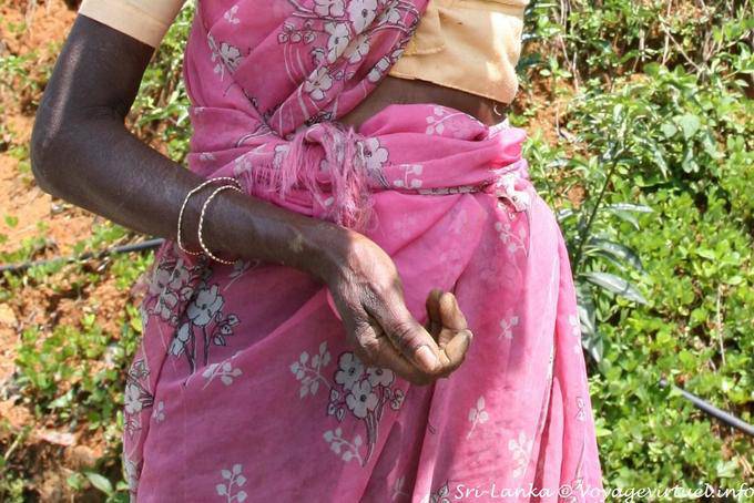 La mano del povero operaio, Kalugala - Ceylon Sri Lanka