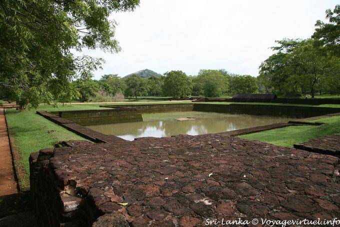 Bacino pad nei giardini di Sigiriya - Ceylon Sri Lanka